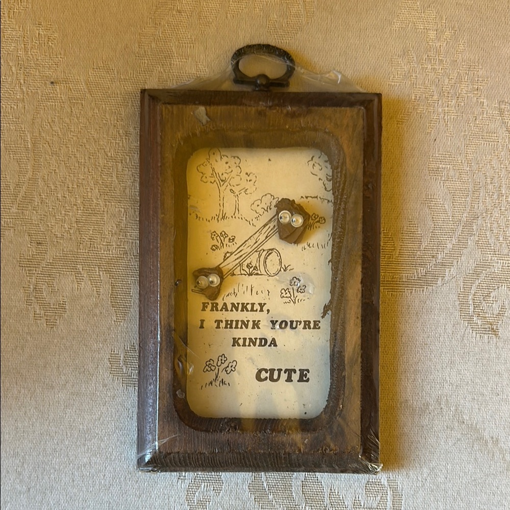 Vintage new dead stock Mixed Media googly-eye Art with Brown wooden Frame